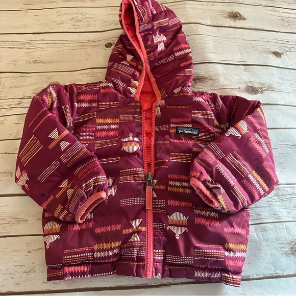Patagonia turtle reversible jacket